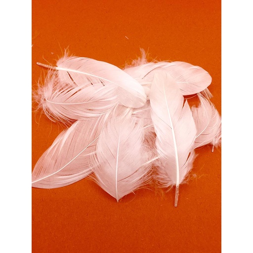 [3156] PLUME BLANCHE CANARD FRANCE/2KG