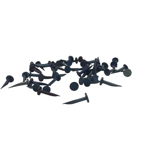 SEMENCES PIQUE FRANCE/1KG